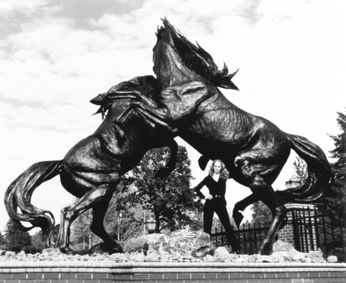 battling stallions